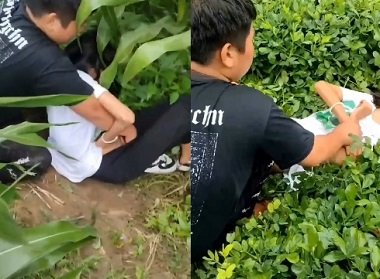 phim sex tap the my Bị tên người yêu cũ khốn nạn bắt ép phải quan hệ